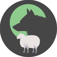CryWolf Store